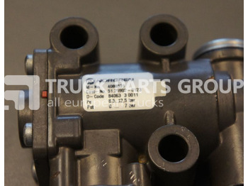 Izduvni sistem za Kamion MAN TGX, TGS, TGL, TGM, EURO 4, EURO 5 emission blocking flap contro catalyst: slika 2