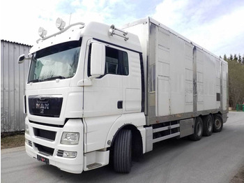 Kamion za prevoz stoke MAN TGX