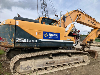 Bager guseničar PELLE SUR CHENILLES HYUNDAI ROBEX 250 NLC-9: slika 3 Bager guseničar PELLE SUR CHENILLES HYUNDAI ROBEX 250 NLC-9: slika 3