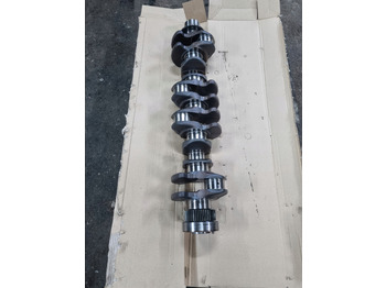 : fotografija u zaglavlju