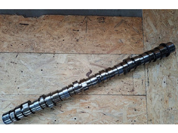 Bregasta osovina RENAULT Magnum