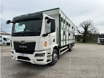 Kamion za prevoz stoke MAN TGM 15.290