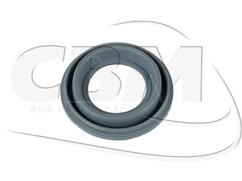 Sklopovi kočnice IRISBUS