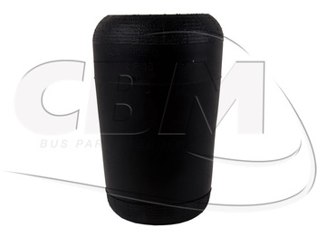 Pneumatska suspenzija IRISBUS