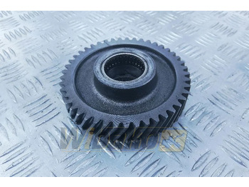 : fotografija u zaglavlju