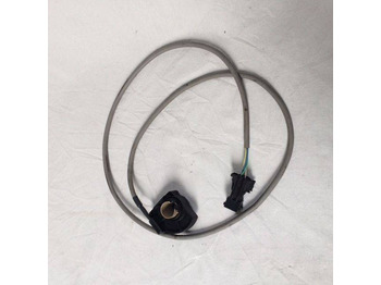 : fotografija u zaglavlju