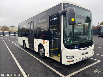 Autobus