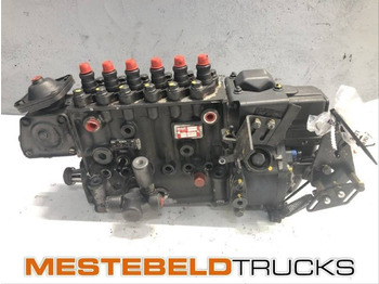 : fotografija u zaglavlju