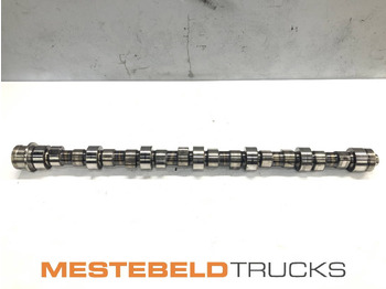 : fotografija u zaglavlju