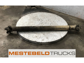 : fotografija u zaglavlju