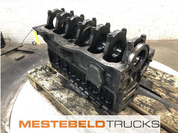 : fotografija u zaglavlju