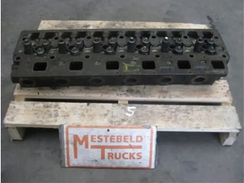 : fotografija u zaglavlju