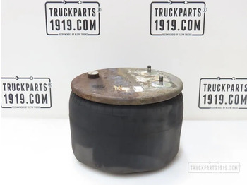 Pneumatska suspenzija DAF