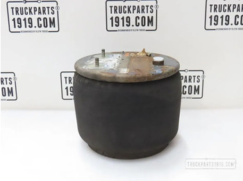 Pneumatska suspenzija DAF