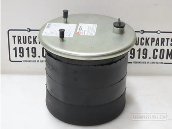 Pneumatska suspenzija DAF