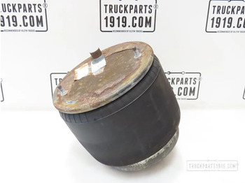 Pneumatska suspenzija DAF