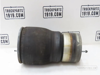 Pneumatska suspenzija DAF