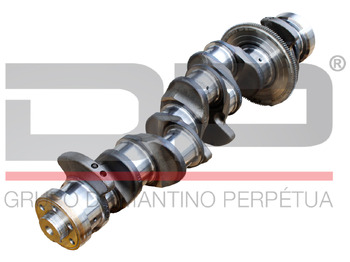 : fotografija u zaglavlju