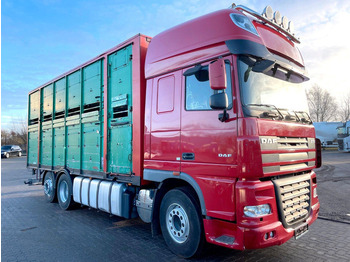 Kamion za prevoz stoke DAF XF 105 460