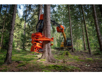 : fotografija u zaglavlju