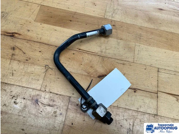 : fotografija u zaglavlju