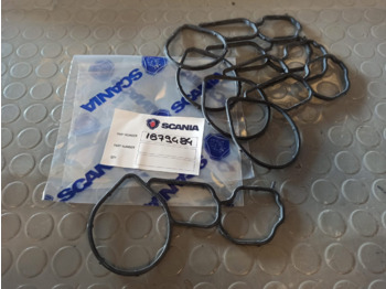 : fotografija u zaglavlju