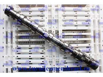 Bregasta osovina DAF XF 106