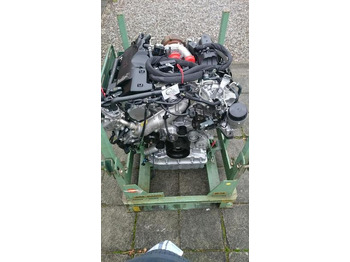 : fotografija u zaglavlju