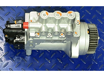 : fotografija u zaglavlju