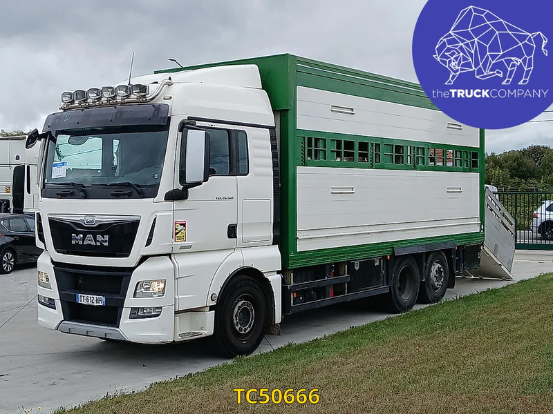 MAN TGX 460 - Kamion za prevoz stoke: slika 1 MAN TGX 460 - Kamion za prevoz stoke: slika 1