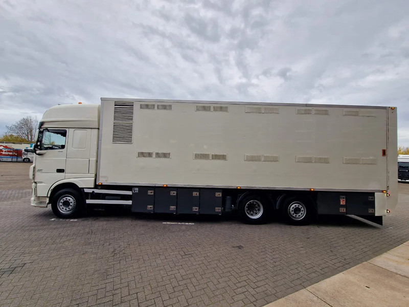 DAF XF 440 SuperSpaceCab 6x2*4 - 2 deck Closed Livestock - 40M2 - Filtersystem - Kamion za prevoz stoke: slika 4 DAF XF 440 SuperSpaceCab 6x2*4 - 2 deck Closed Livestock - 40M2 - Filtersystem - Kamion za prevoz stoke: slika 4