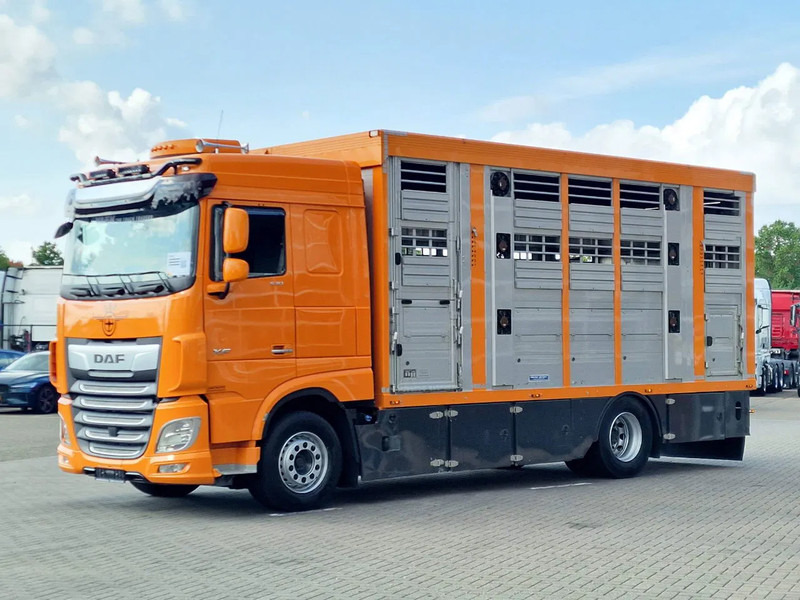 DAF XF 530 4x2 - Livestock Menke 2 deck water & ventilation - Kamion za prevoz stoke: slika 5 DAF XF 530 4x2 - Livestock Menke 2 deck water & ventilation - Kamion za prevoz stoke: slika 5