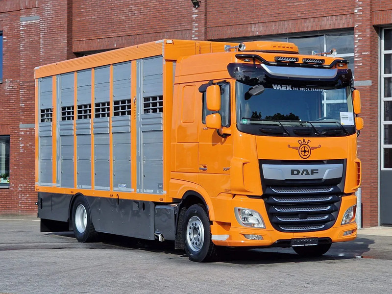 DAF XF 530 4x2 - Livestock Menke 2 deck water & ventilation - Kamion za prevoz stoke: slika 3 DAF XF 530 4x2 - Livestock Menke 2 deck water & ventilation - Kamion za prevoz stoke: slika 3