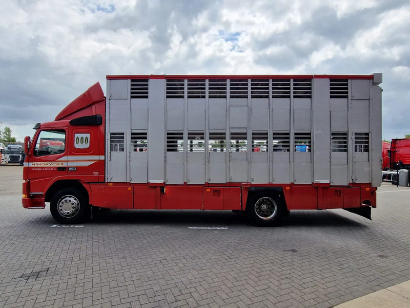 Volvo FM 250 4x- Livestock 2 deck - Lifting floors - Loadlift - Manual gearbox - Kamion za prevoz stoke: slika 4 Volvo FM 250 4x- Livestock 2 deck - Lifting floors - Loadlift - Manual gearbox - Kamion za prevoz stoke: slika 4