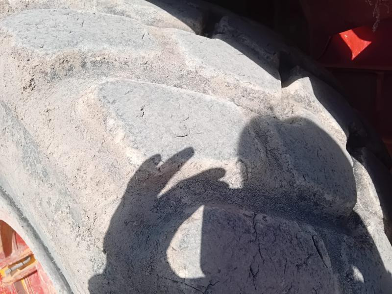 Bell B30B - Zglobni kiper: slika 5 Bell B30B - Zglobni kiper: slika 5