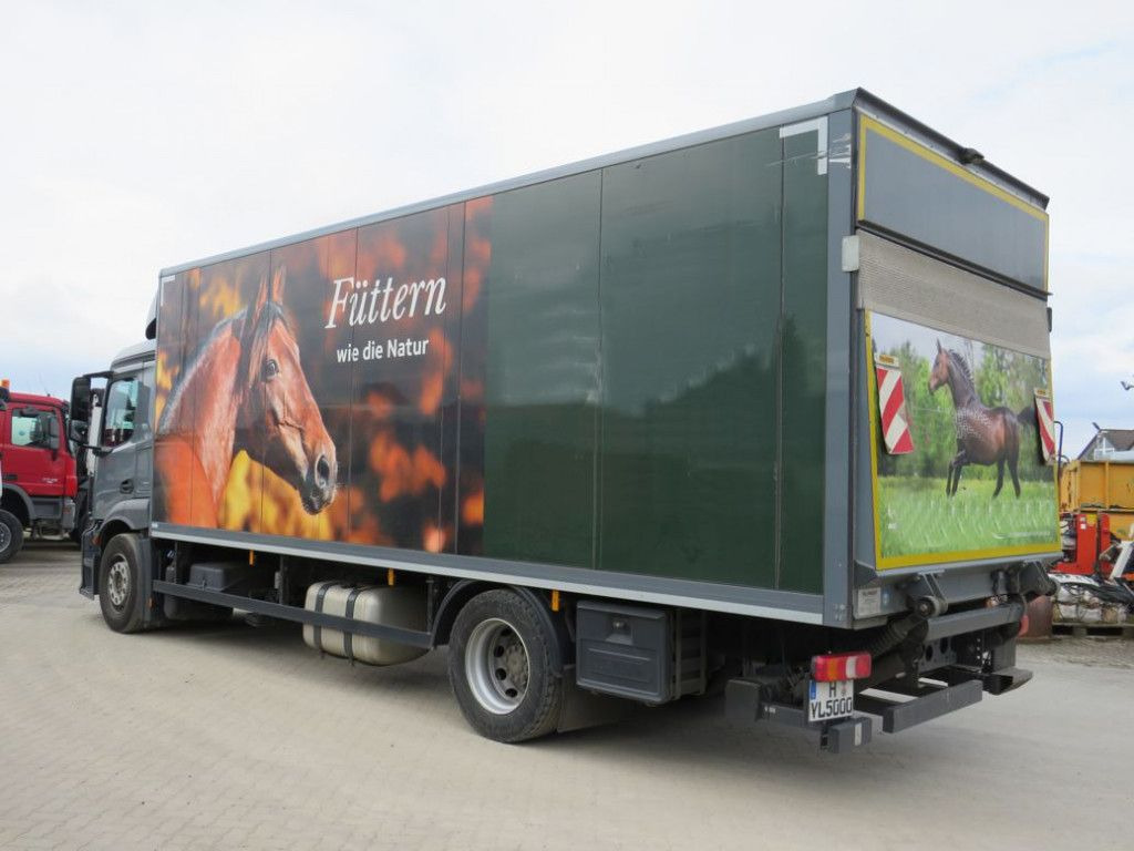 Mercedes-Benz Antos 1830 L nR 4x2 Standardkoffer LBW LBW 2to+F - Kamion sa zatvorenim sandukom: slika 3 Mercedes-Benz Antos 1830 L nR 4x2 Standardkoffer LBW LBW 2to+F - Kamion sa zatvorenim sandukom: slika 3