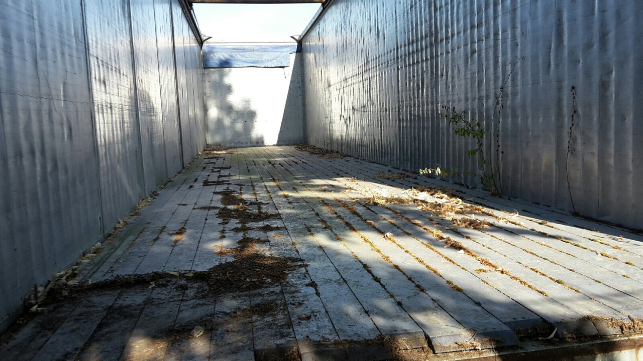 Reisch RSBS-35/24 PV RSBS-35/24 PV Walkingfloor ca. 86m³, Alu - Poluprikolica sa pokretnim podom: slika 2 Reisch RSBS-35/24 PV RSBS-35/24 PV Walkingfloor ca. 86m³, Alu - Poluprikolica sa pokretnim podom: slika 2