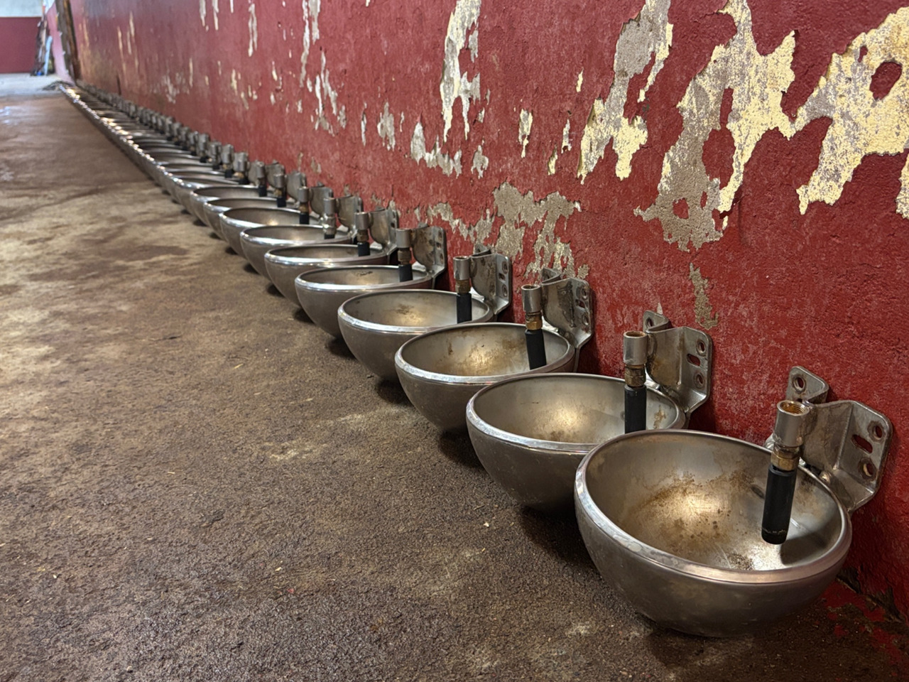 Jyden  - Oprema za stoku: slika 1 Jyden  - Oprema za stoku: slika 1