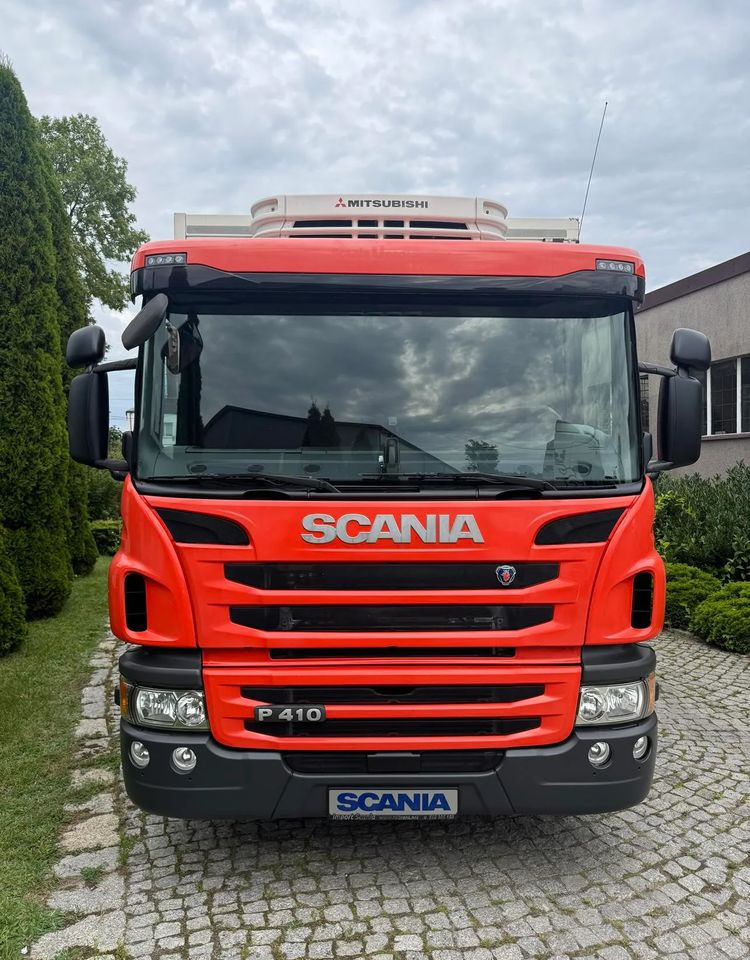 Scania P250 - Hladnjača: slika 3 Scania P250 - Hladnjača: slika 3