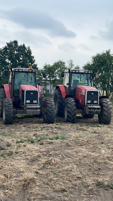 Massey ferguson 8110-8160 części skrzynia biegów zwolnica - Menjač za Poljoprivredna mašina: slika 1 Massey ferguson 8110-8160 części skrzynia biegów zwolnica - Menjač za Poljoprivredna mašina: slika 1