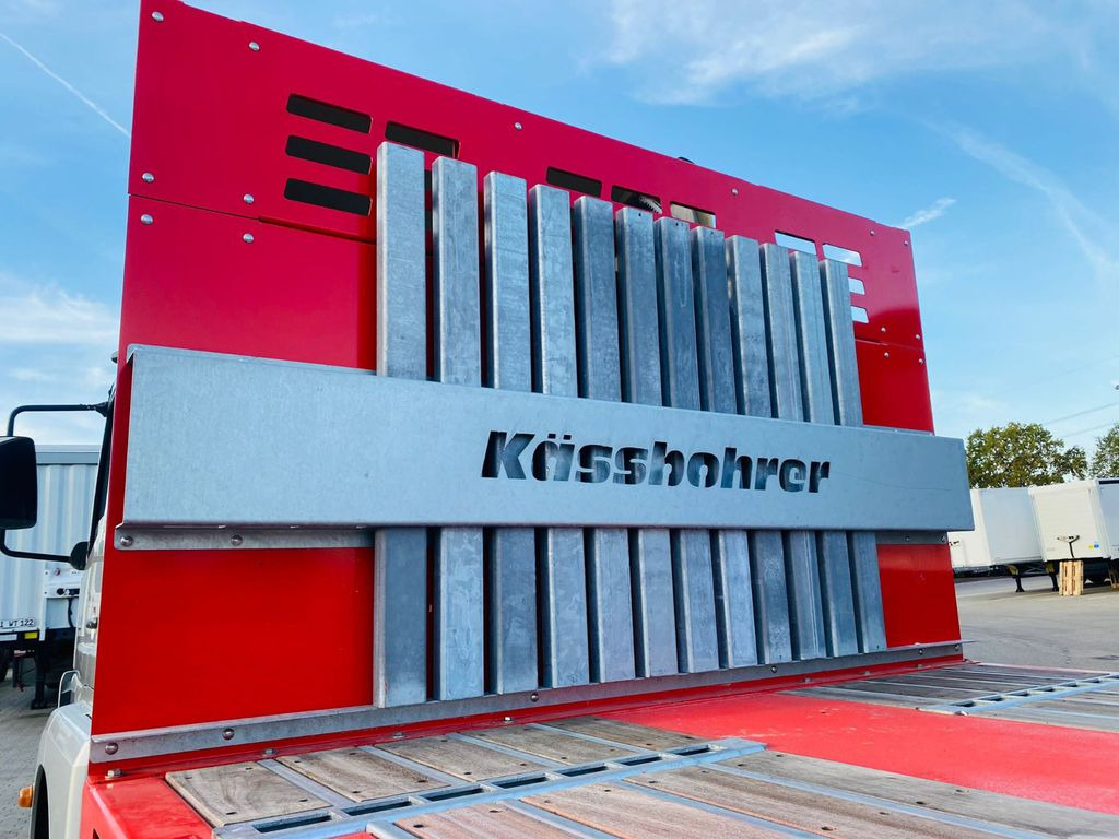 Novu Plato poluprikolica Kässbohrer SPS Maxima Schwerlast Plattform Auflieger: slika 7