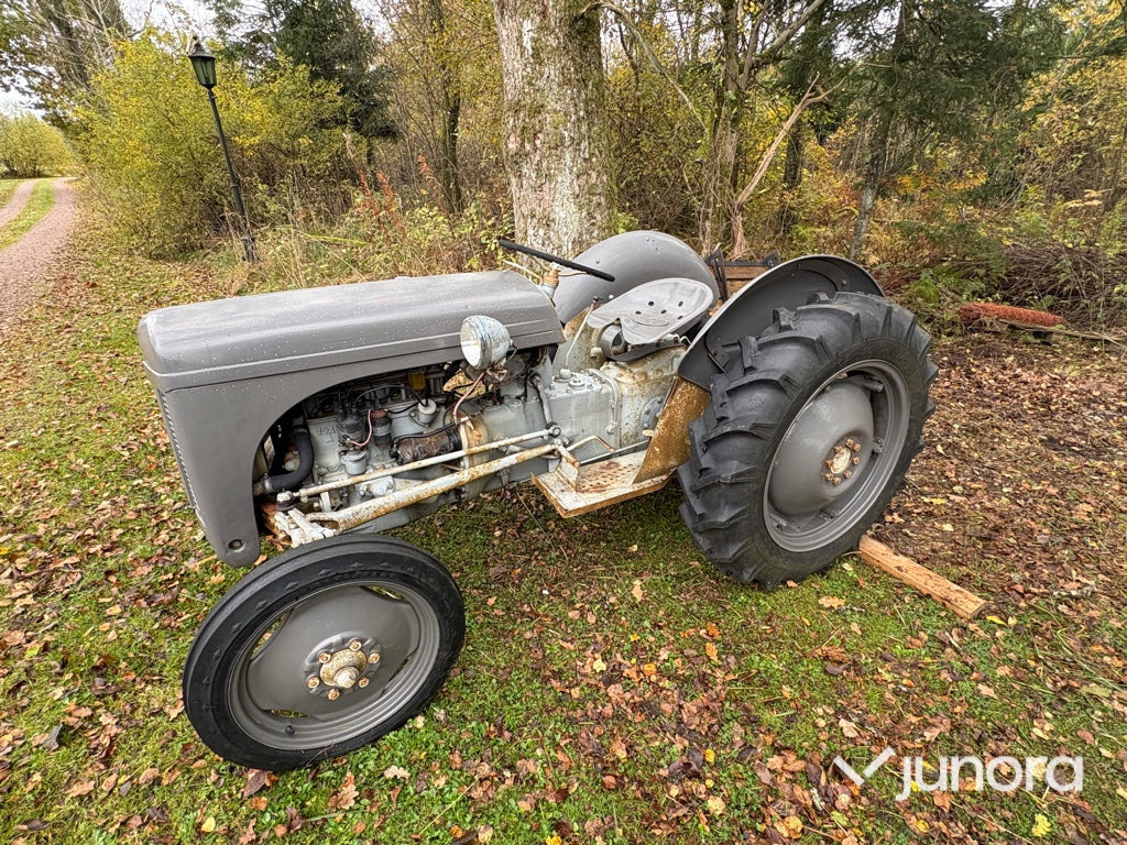 Grolle Massey Fergusson - Traktor: slika 1 Grolle Massey Fergusson - Traktor: slika 1