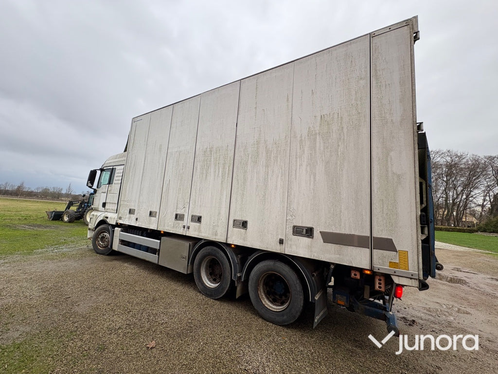 Lastbil, kyl och frys - MAN - Hladnjača: slika 3 Lastbil, kyl och frys - MAN - Hladnjača: slika 3
