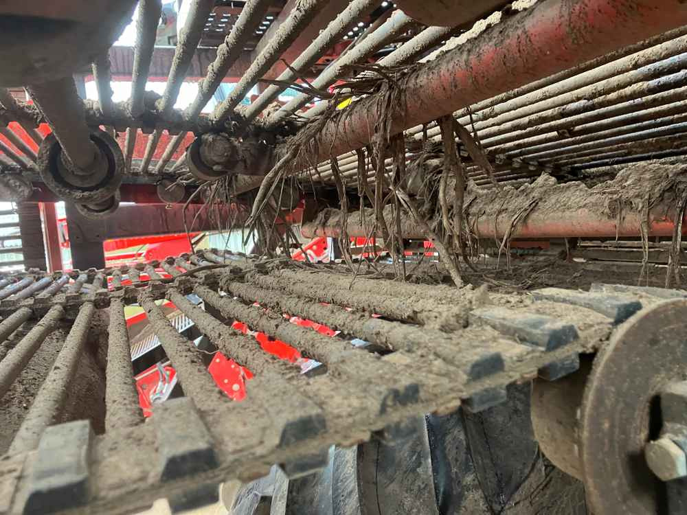 Kombajn Dewulf DeWulf, RA3060, 2 Row, Self-Propelled Potato Harvester: slika 21 Kombajn Dewulf DeWulf, RA3060, 2 Row, Self-Propelled Potato Harvester: slika 21