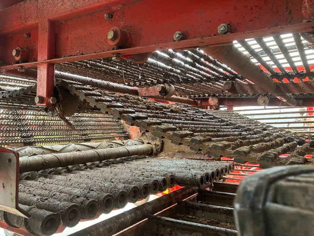 Kombajn Dewulf DeWulf, RA3060, 2 Row, Self-Propelled Potato Harvester: slika 20 Kombajn Dewulf DeWulf, RA3060, 2 Row, Self-Propelled Potato Harvester: slika 20