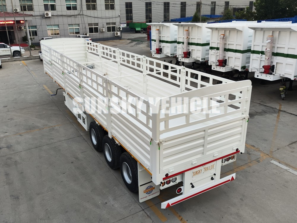 SUNSKY - Plato poluprikolica: slika 3 SUNSKY - Plato poluprikolica: slika 3