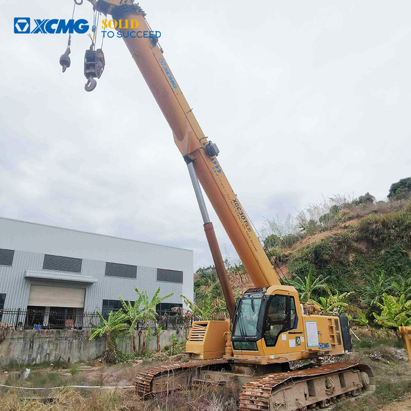 XCMG XGC30T 30ton mini small crawler crane 2016 for sale - Kran guseničar: slika 1 XCMG XGC30T 30ton mini small crawler crane 2016 for sale - Kran guseničar: slika 1