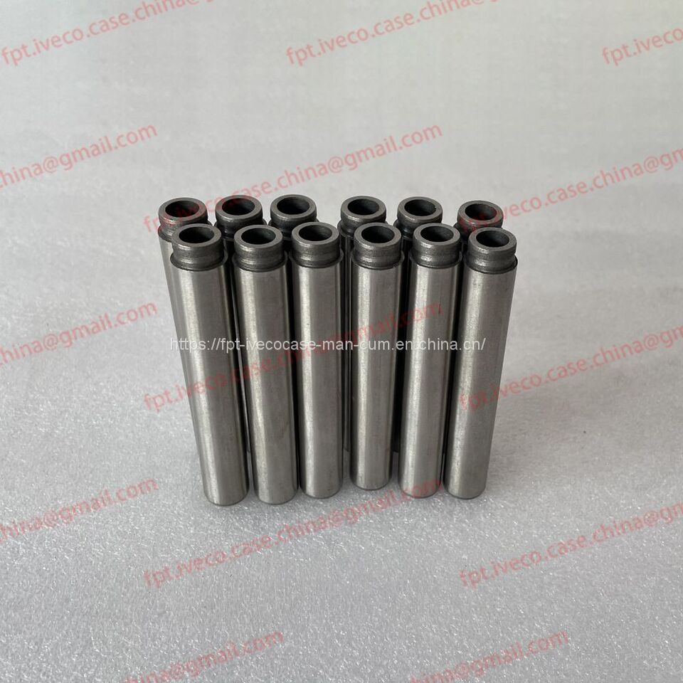 FPT IVECO CASE Cursor11 F3GFE613A B001 5801863562/5801690111 valve shaft guide 504384919/504384920 - Ventil: slika 1 FPT IVECO CASE Cursor11 F3GFE613A B001 5801863562/5801690111 valve shaft guide 504384919/504384920 - Ventil: slika 1