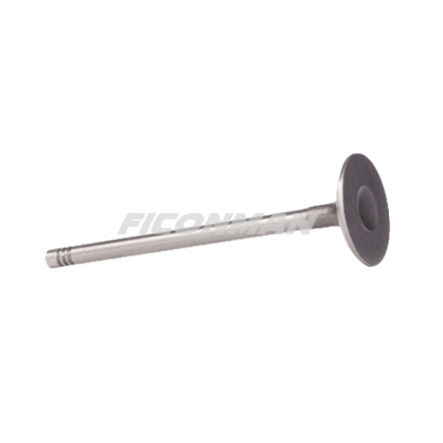 Iveco Daily Fiat Ducato F1AE Intake Valve 500362855 / 504069199 - Ventil za Dostavno vozilo: slika 1 Iveco Daily Fiat Ducato F1AE Intake Valve 500362855 / 504069199 - Ventil za Dostavno vozilo: slika 1