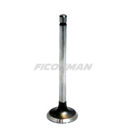Iveco Daily Fiat Ducato F1C Intake Valve 504072531 504238926 - Ventil za Dostavno vozilo: slika 2 Iveco Daily Fiat Ducato F1C Intake Valve 504072531 504238926 - Ventil za Dostavno vozilo: slika 2